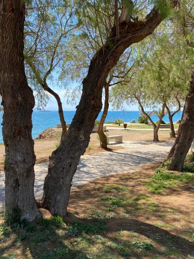 Athens-Riviera Luxury Apartment Sea View Voula ภายนอก รูปภาพ
