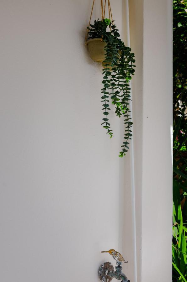 Athens-Riviera Luxury Apartment Sea View Voula ภายนอก รูปภาพ